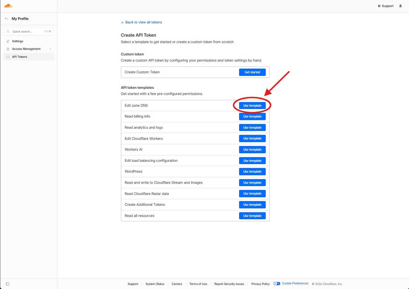Select Edit Zone DNS Template